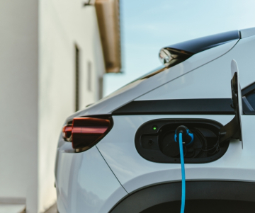 World Sustainable Transportation Day 