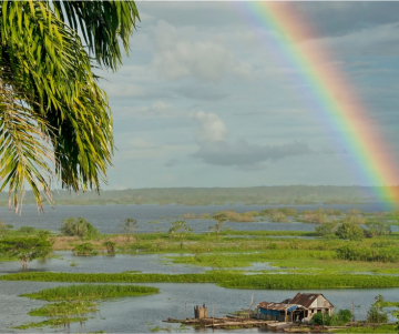 What to do on my trip to Iquitos, Peru? 