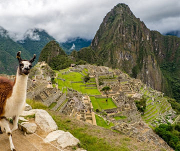 What should I know if I am going to travel to Machu Picchu? - 5 tips for your trip 