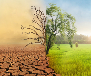 Climate change in South America 