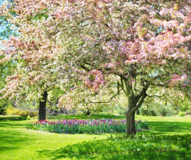 Beginning of spring 2023 - Peru 