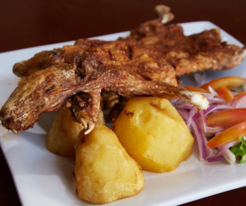 National Guinea Pig Day - Peru 