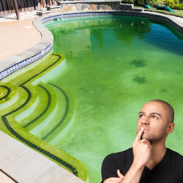 Guide to remove algae from the pool 