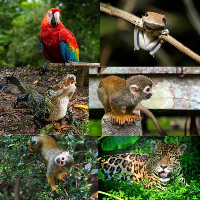 biodiversidad