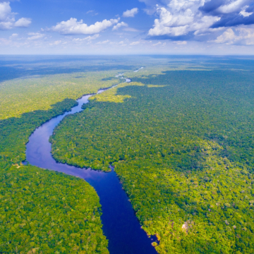 La riqueza ecológica de la Selva Amazónica