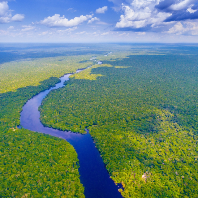 La riqueza ecológica de la Selva Amazónica