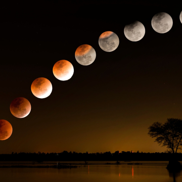 Lunar Calendar February 2025 