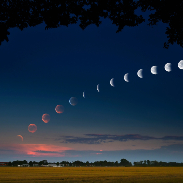 Lunar Calendar April 2025 