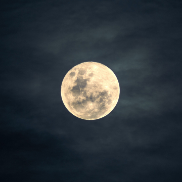 Lunar Calendar November 2025 