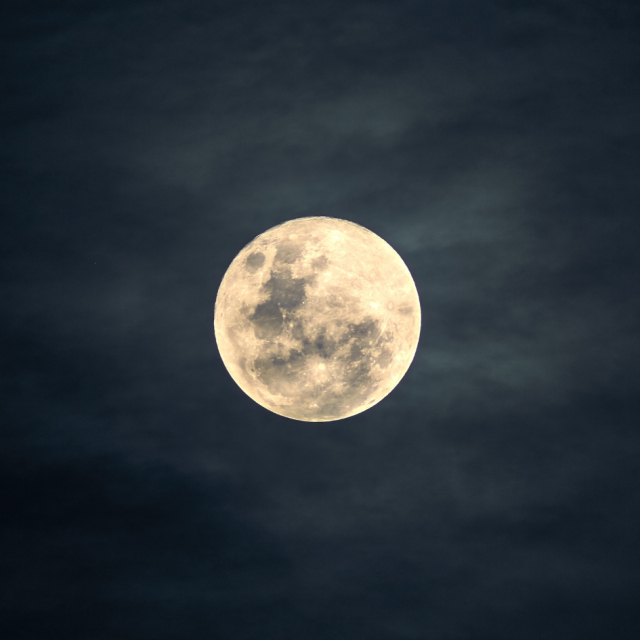 Lunar Calendar November 2025 