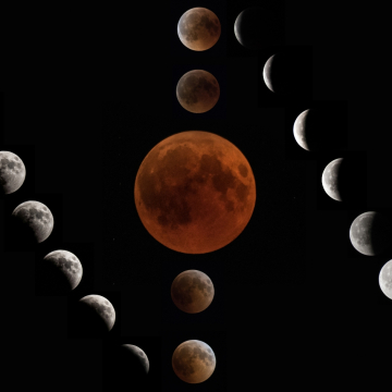 Lunar Calendar for August 2025 