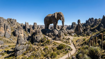 Guía para visitar el Santuario Nacional de Huayllay y el bosque de piedras más grande del mundo