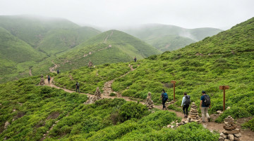 Guía para visitar las Lomas de Lachay y los mejores circuitos de trekking cerca de Lima durante la temporada verde