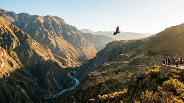 Guía para visitar el Cañón del Colca en Arequipa rutas mejores miradores y consejos para ver el vuelo del cóndor