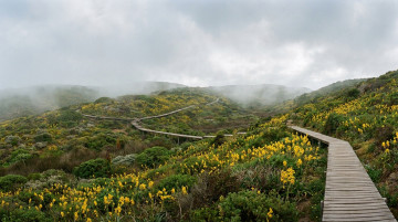 Importancia de las Lomas de Lachay y la mejor temporada para visitar este oasis de neblina en la costa peruana